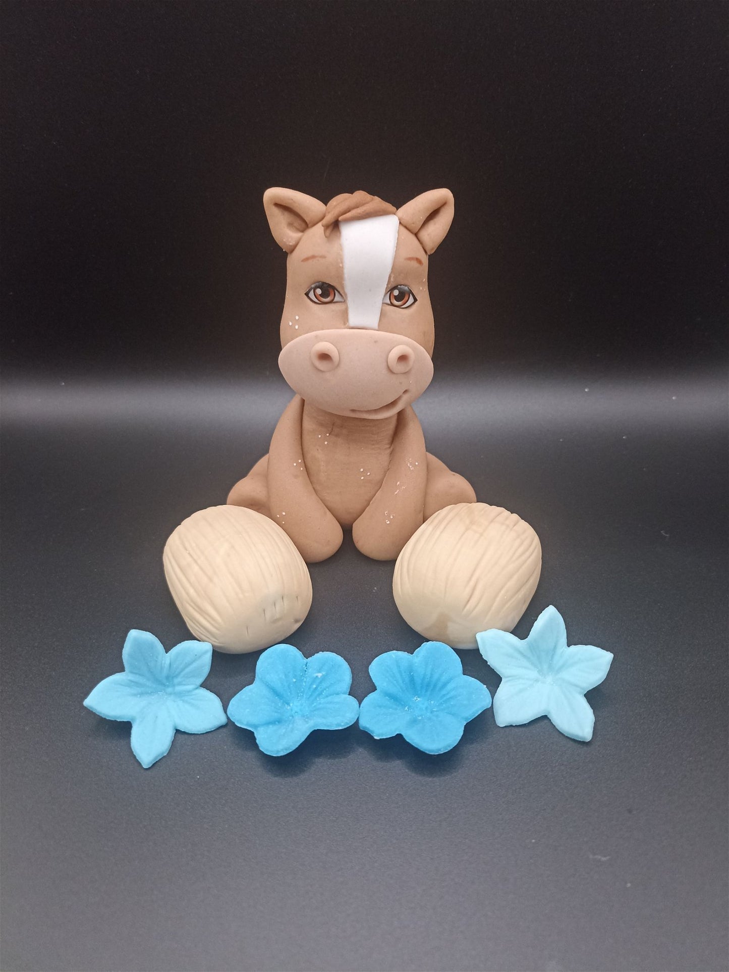 Pferde Junge Spirit - Annett´s Tortenzauber